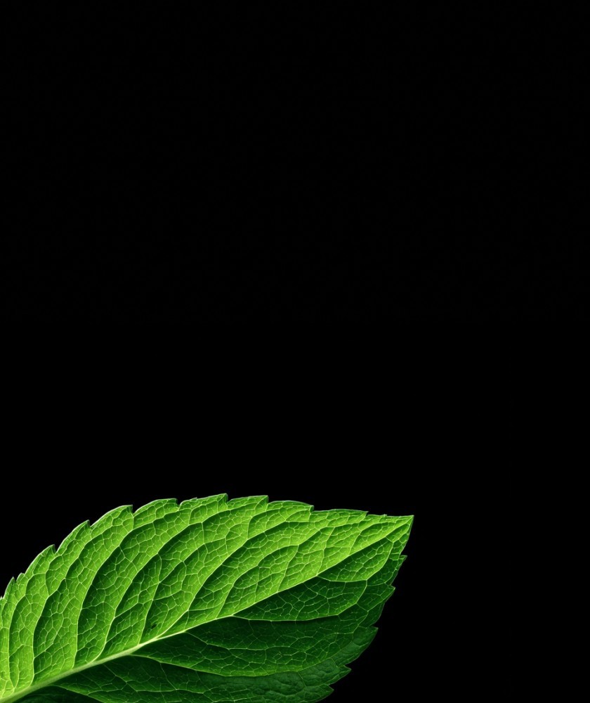 Почему стоит заказать выездной бар на мероприятие?