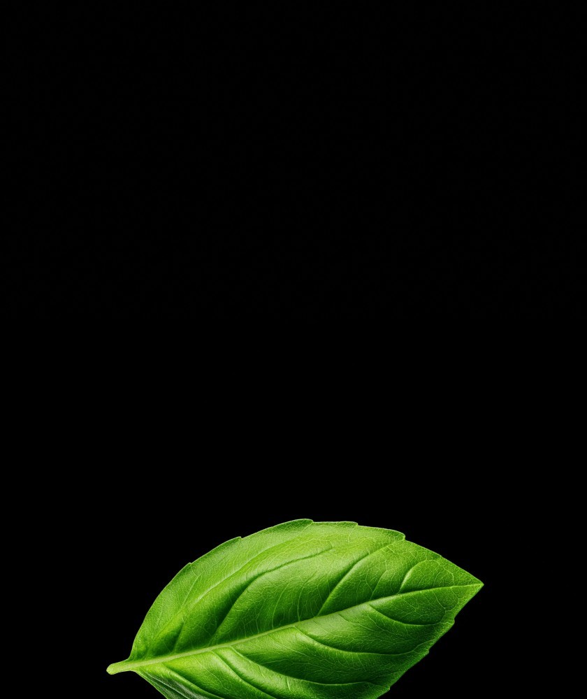 Выездной бар на мероприятие