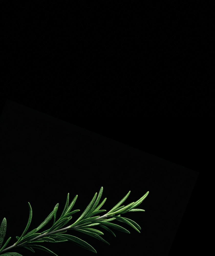 Выездной бар-кейтеринг