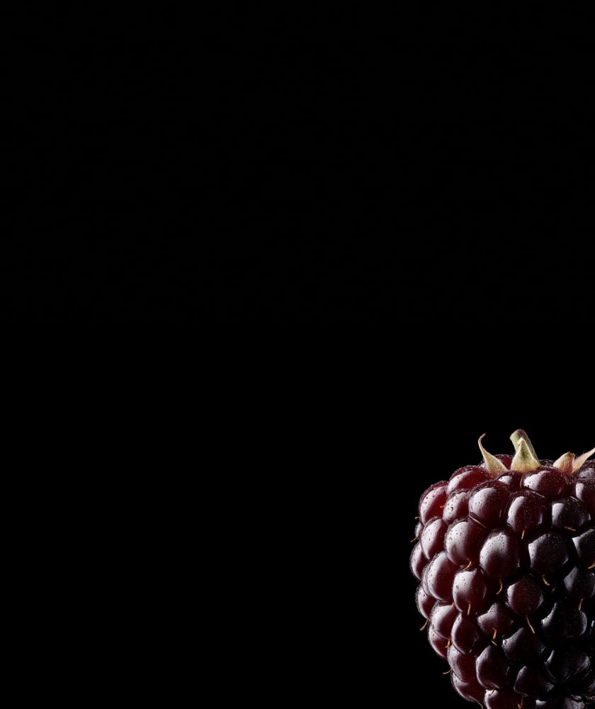 Коктейльный кейтеринг на корпоратив