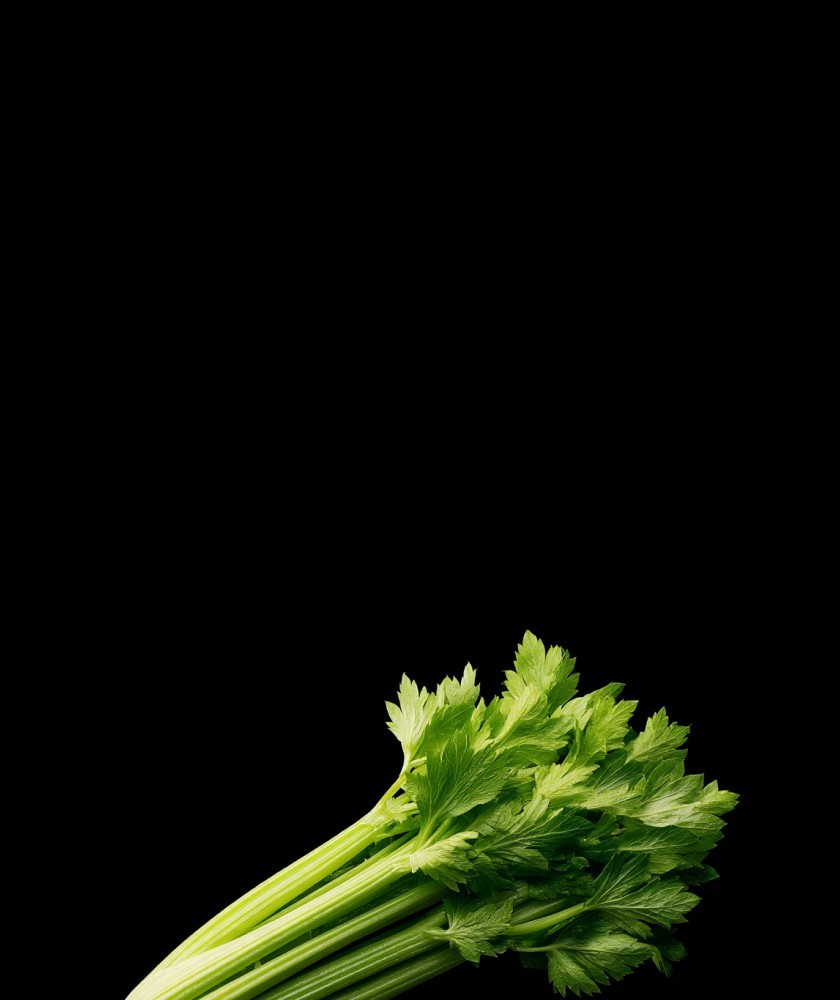 Выездной бар на день рождения