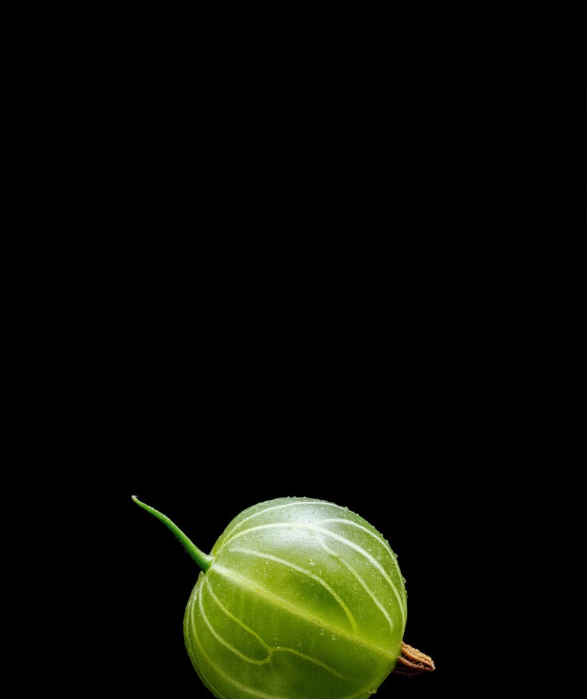 Выездной бар на свадьбу