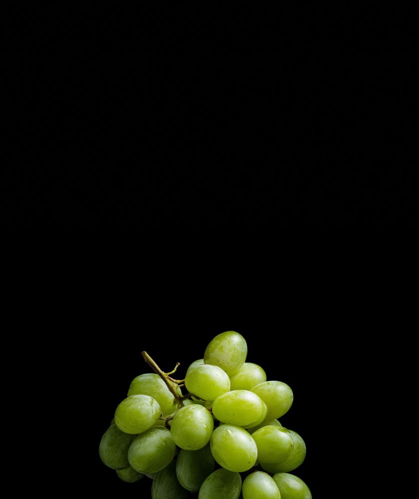 Выездной пивной бар на мероприятие